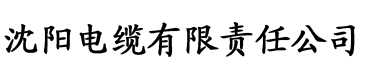 抖阴app官方网站电缆厂logo